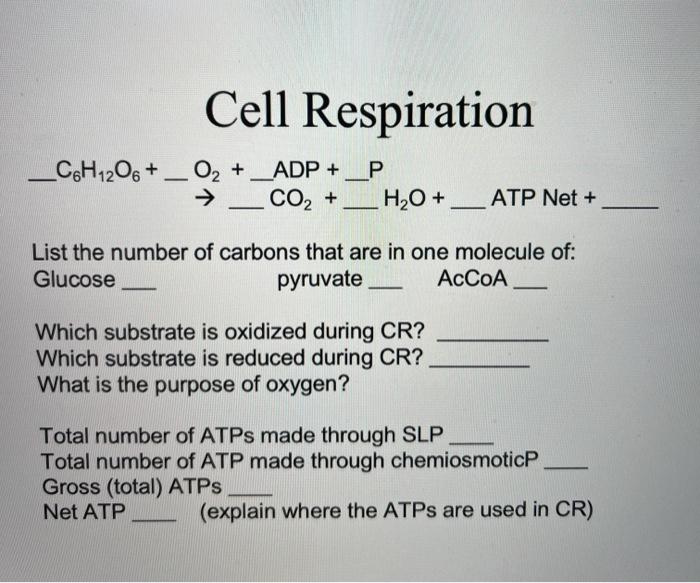 Solved Cell Respiration C6h12o6 02