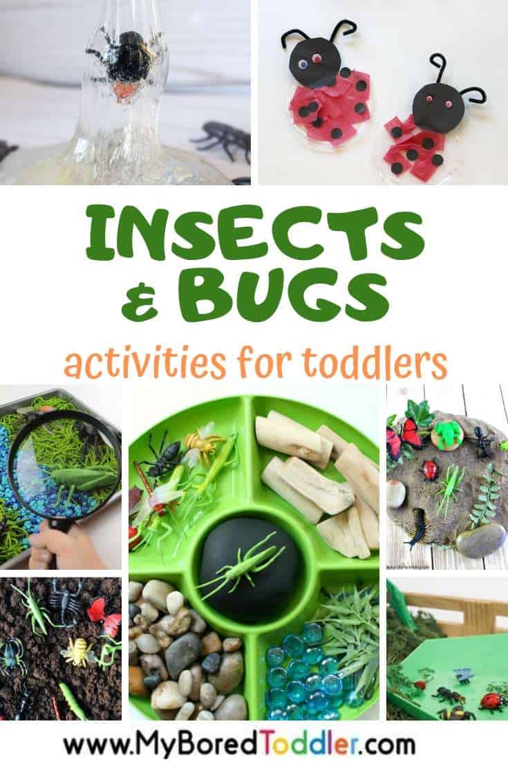 Insects and Bugs Activities for Toddlers - My Bored Toddler