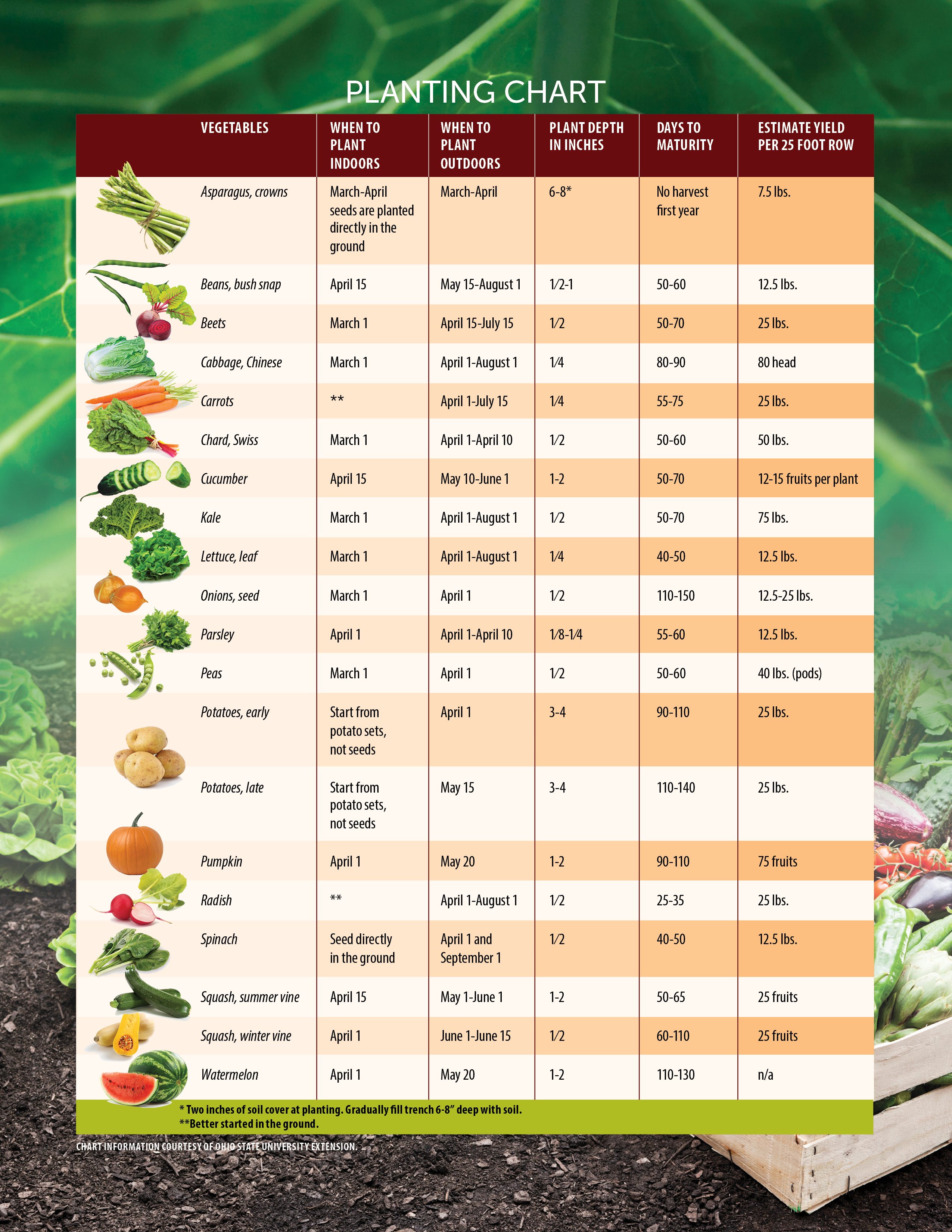 Printable Seed Germination Chart