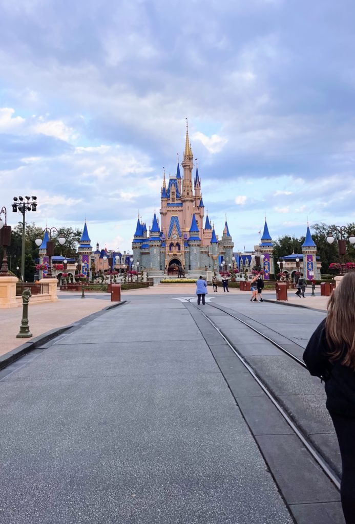 a day at magic kingdom