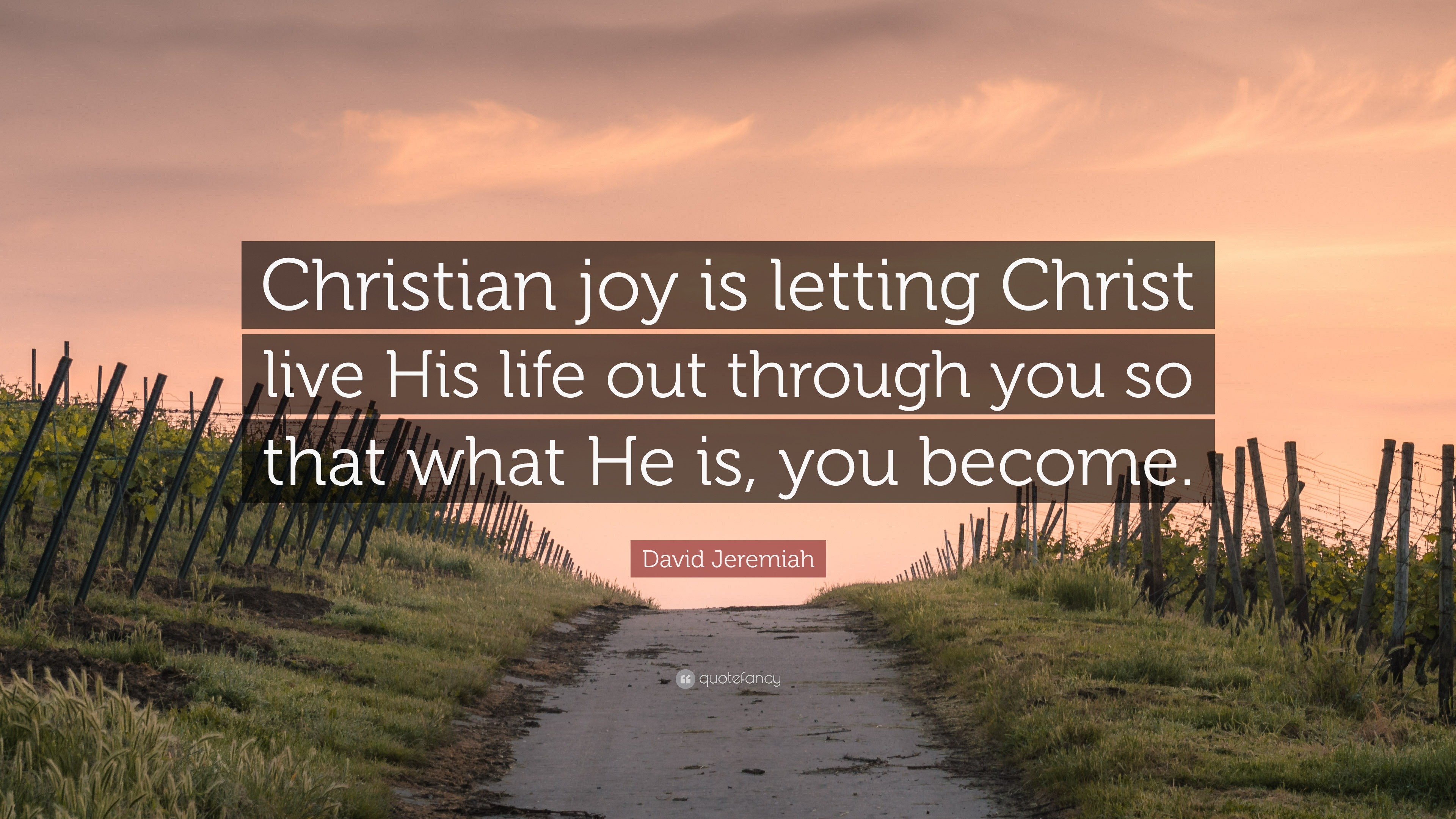 David Jeremiah Quote “Christian joy is letting Christ live His life