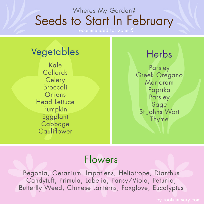 Printable Seed Starting Chart