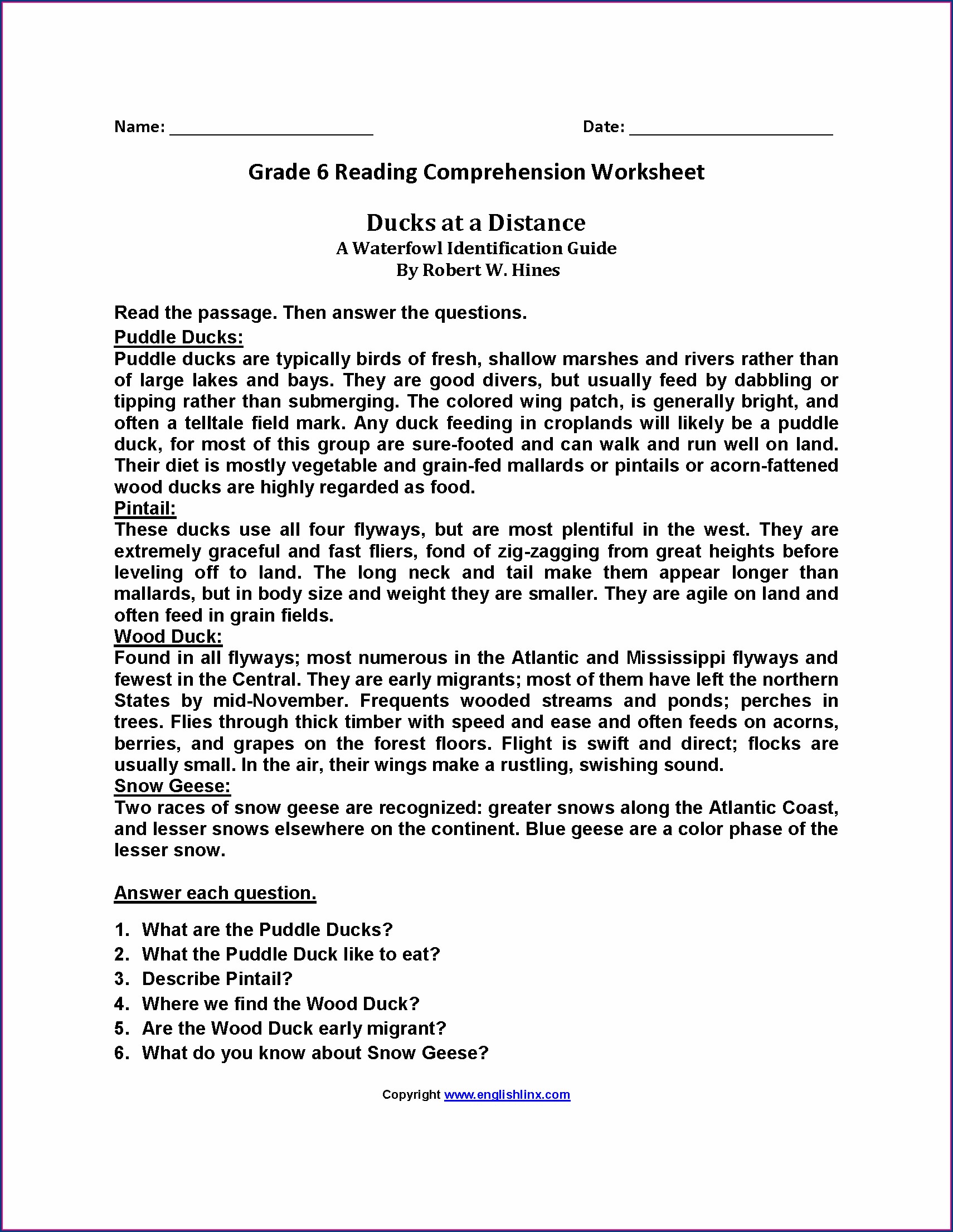 Worksheet English Comprehension For Grade 6