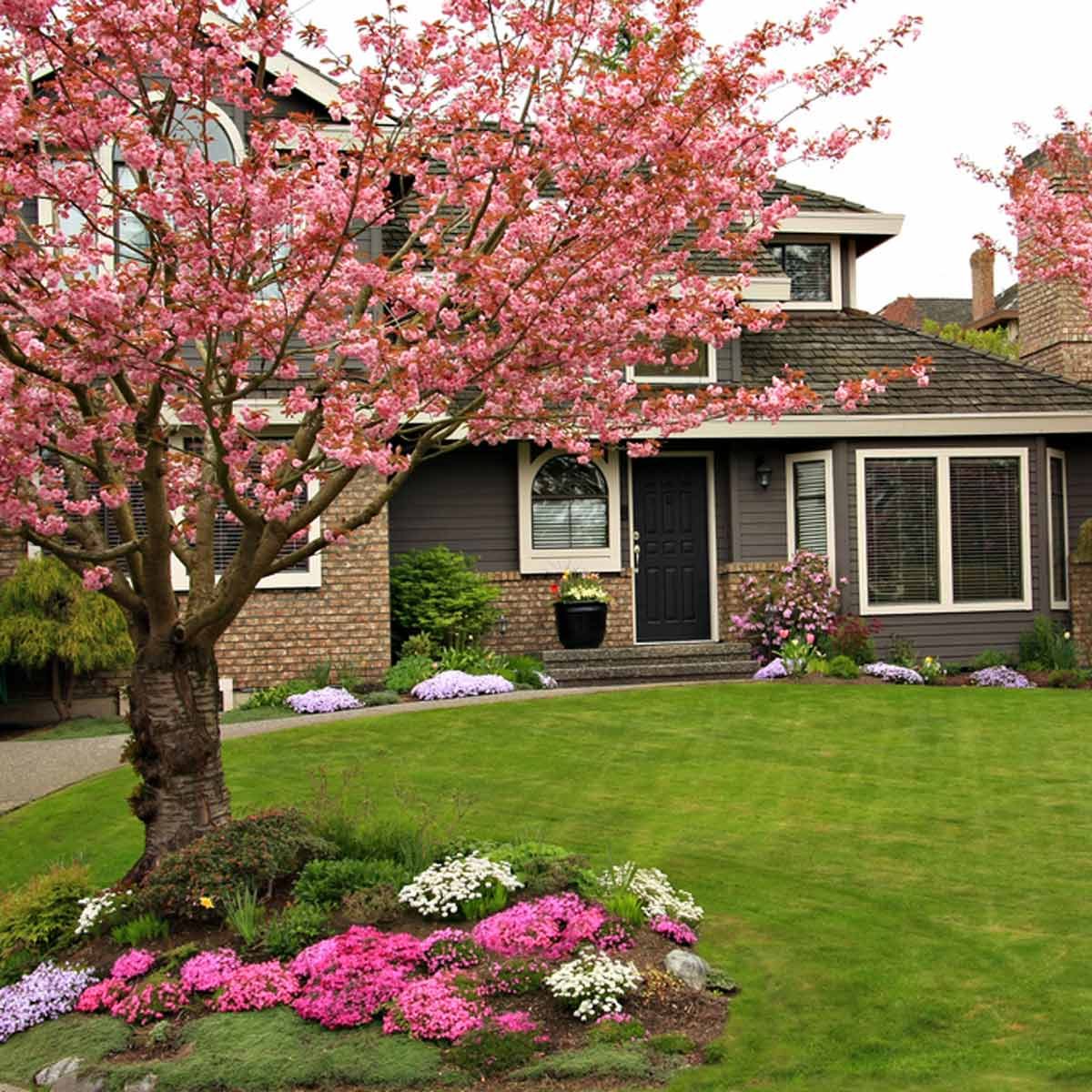 36+ Front Yard Landscaping Ideas Around Trees Pics Garden Design