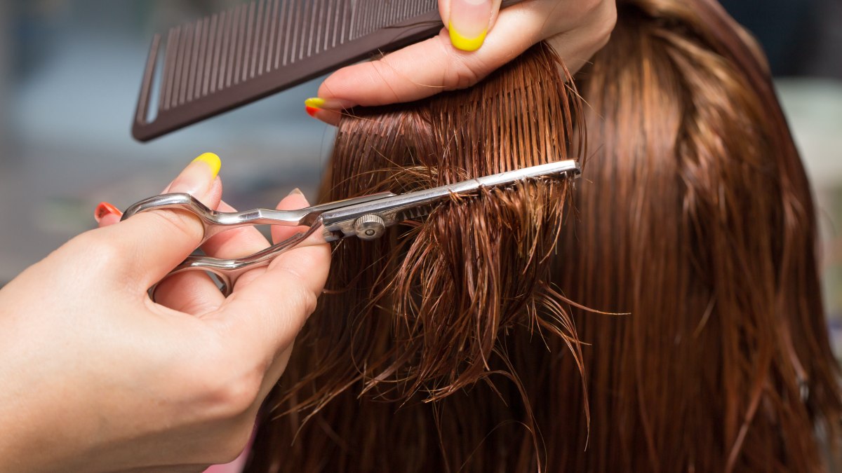 Everything You Need to Know About Hair Thinning Scissors Fashion and