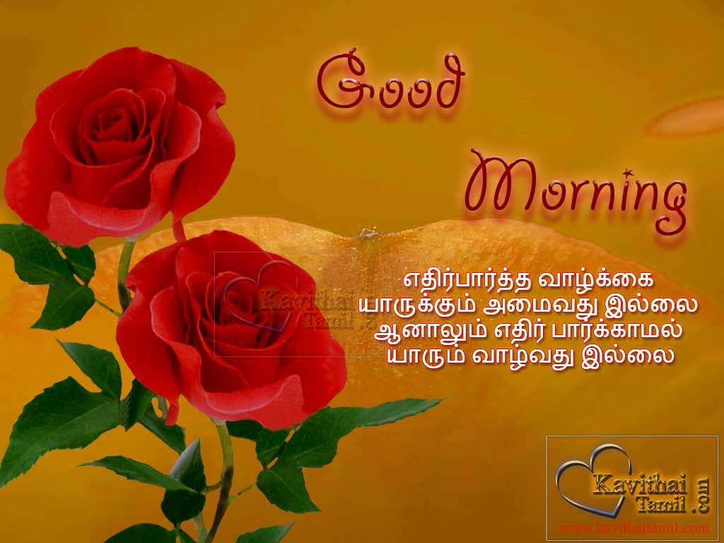 30+ Tamil Good Morning Greetings