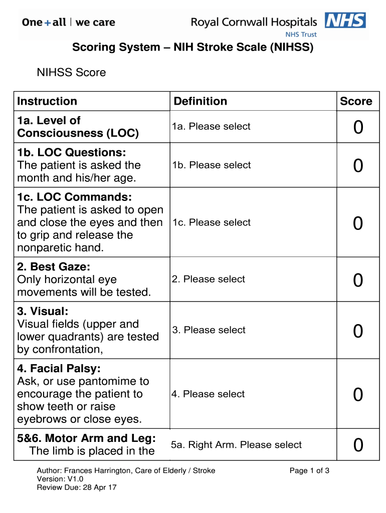 Nihss Fill Online, Printable, Fillable, Blank PDFfiller