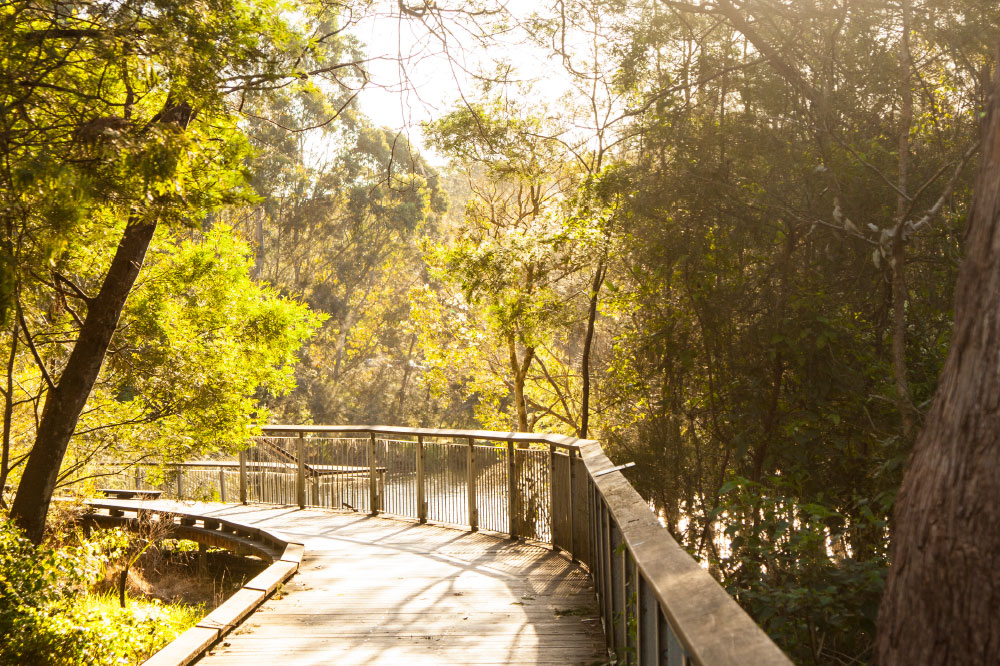 NORTH RYDE Ryde Garden