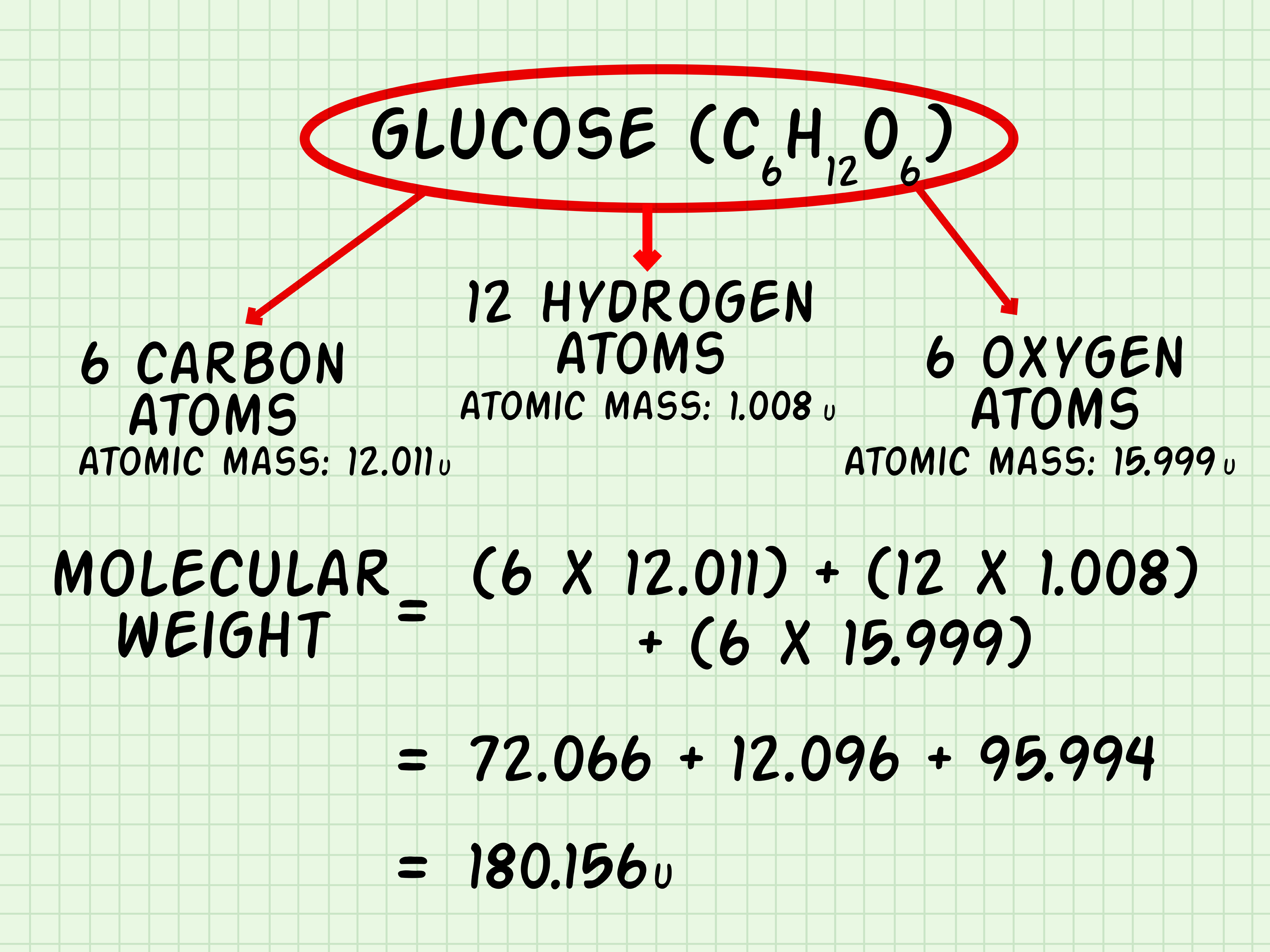 Molecular Weight Worksheet