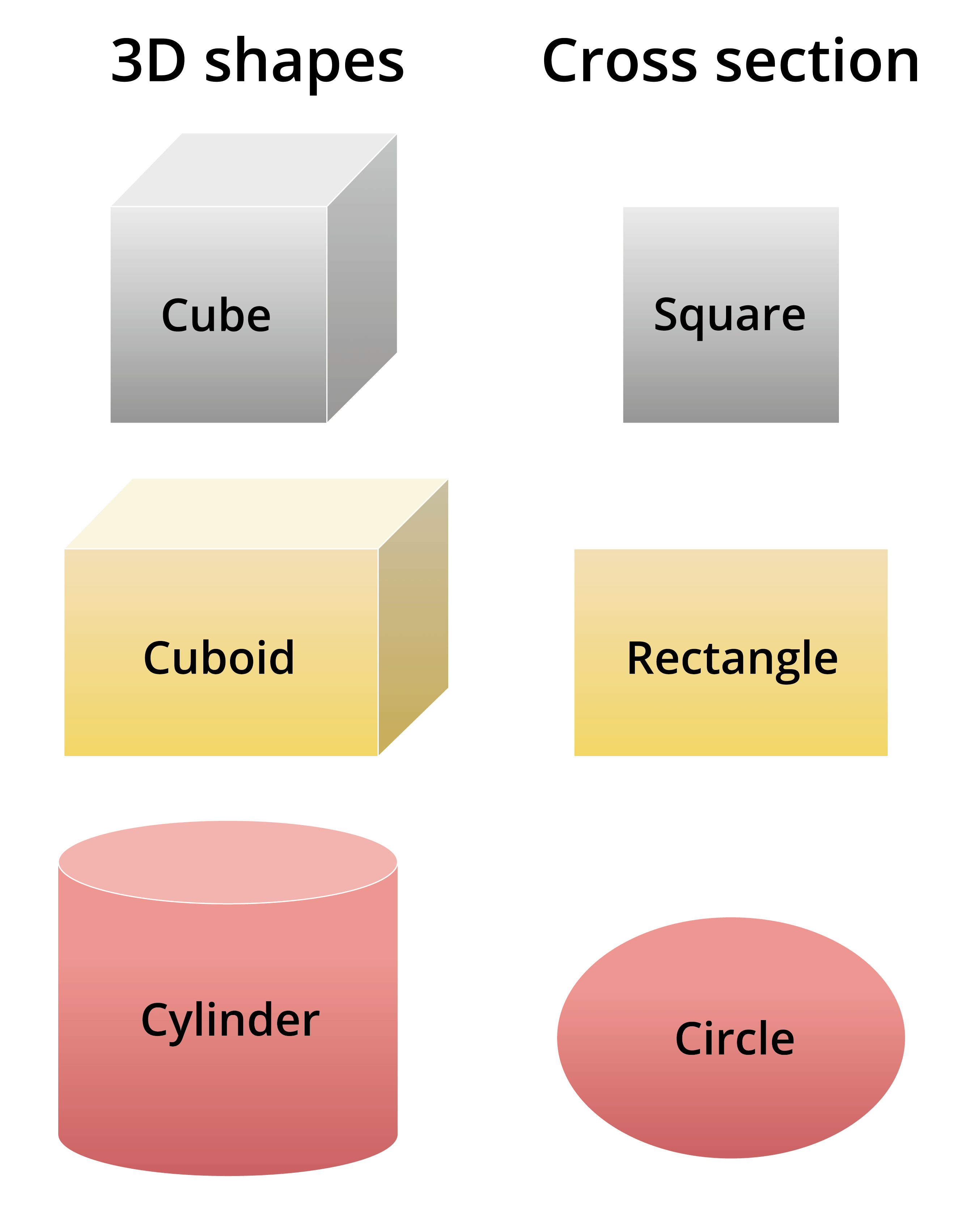 cross-section-of-3d-shapes-worksheet