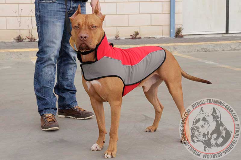 Pitbull Nylon Coat For Winter Dog