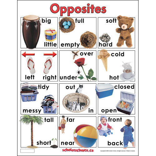 VOCABULARY - Antonym + List of Opposites