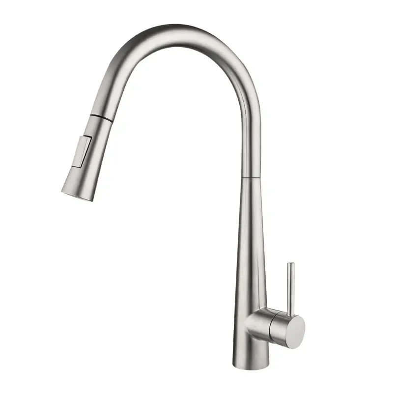 Modern Stainless Steel Hot and Cold Pull-Down Faucet