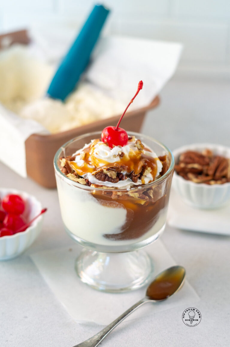 A small turtle sundae in a footed glass dish.