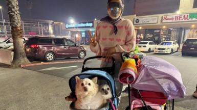 Anna Waldman gestures a peace sign as she stands with her belongings and three dogs in a trolley. 