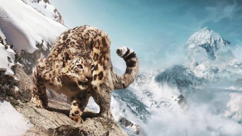 A big cat against a backdrop of snowy mountains.