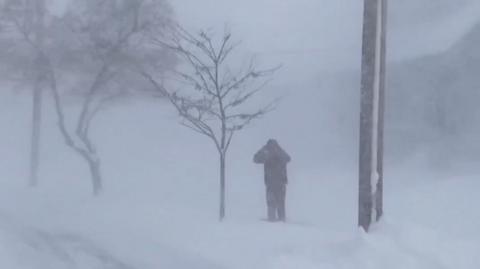 A person puts their hood up in a severely snowy scene next to a tree