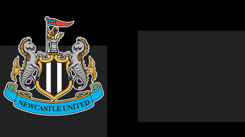 Newcastle United badge