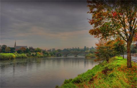 An autumnal scene of the River Tweed bridge at Kelso with the town in the distance and a large tree in the foreground