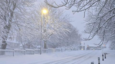 A tree-lined road covered in snow with white cloudy skies.