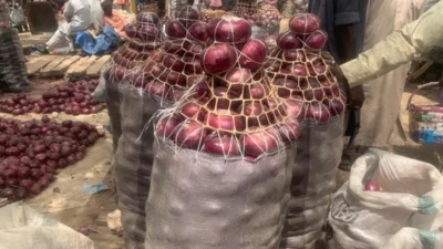 Foto of a bag of Onions