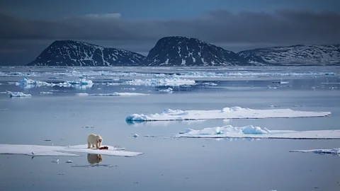 Chase Dekker Wild-Life Images/Getty Images By glimpsing this seldom-seen landscape, the authors hope more travellers will be willing to protect it (Credit: Chase Dekker Wild-Life Images/Getty Images)