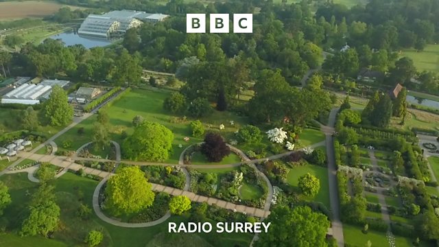 BBC Radio Surrey - BBC Radio Surrey, Bananas, outdoors, in Surrey?