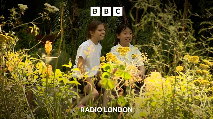 BBC Radio London - BBC Radio London, Allergies in London: 'I feel like ...