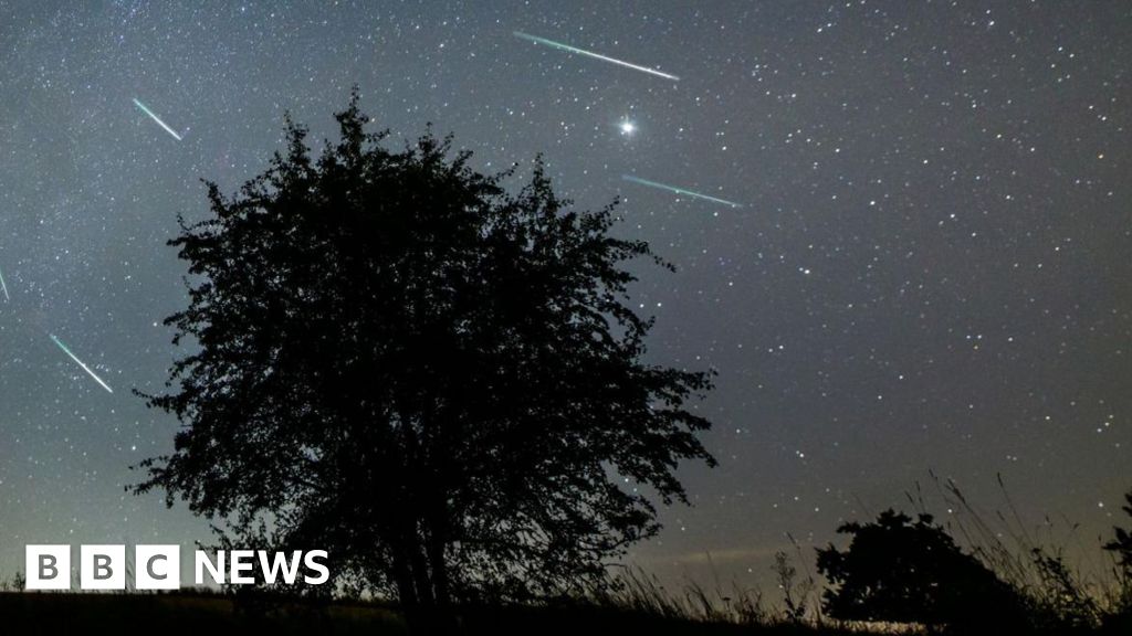 Perseid Meteor Shower 2024 When and how to watch