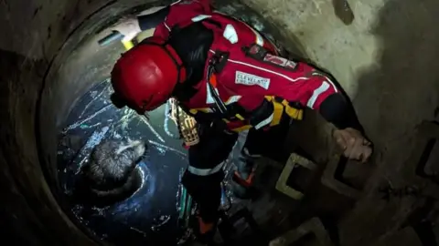 Cleveland Fire Brigade A firefighter in the well with the dog