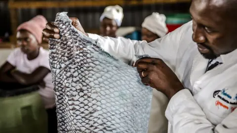 FAO/Luis Tato Victorian Foods' James Ambani shows a tanned fish skin