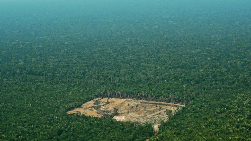 Amazon Rainforest Deforestation Worst In 10 Years Says Brazil c News