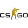 Csgo Ikon