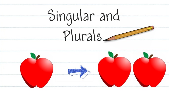 Plural Explanation and Examples