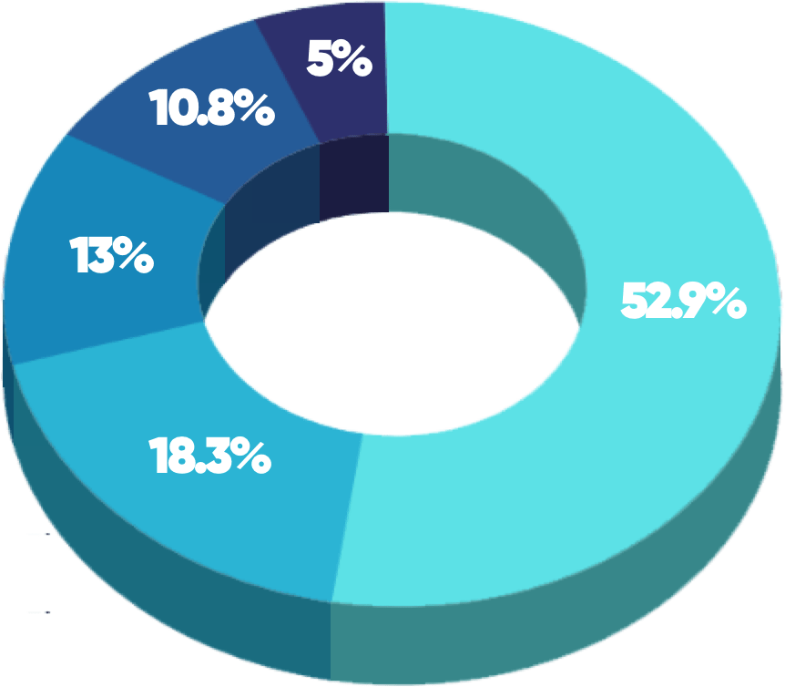 (Industry pie chart)