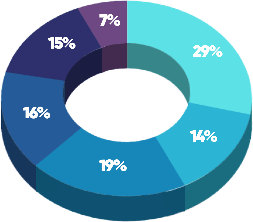 (Job Level pie chart)