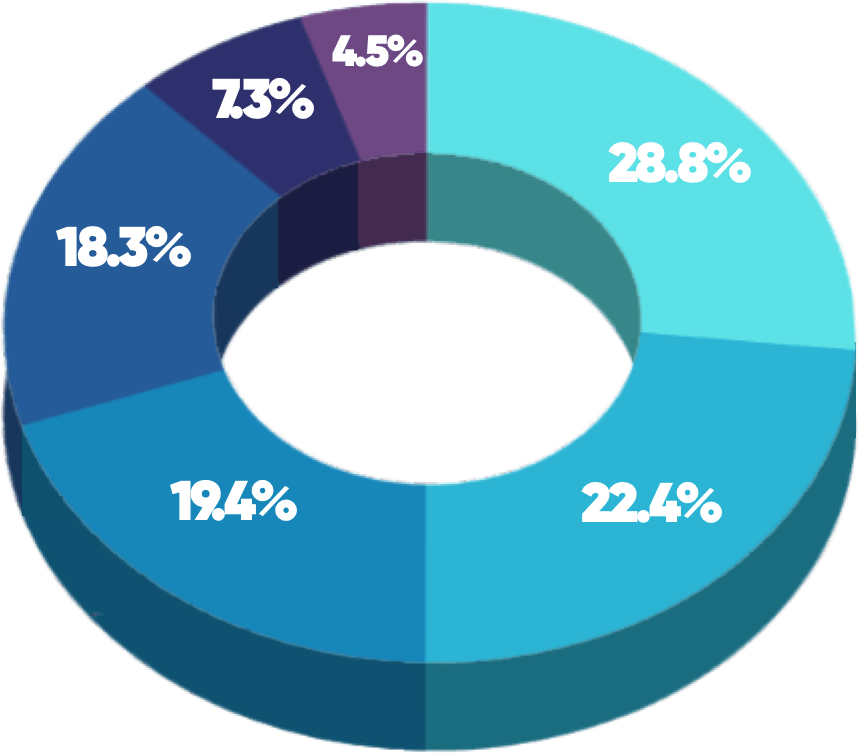 (Role pie chart)