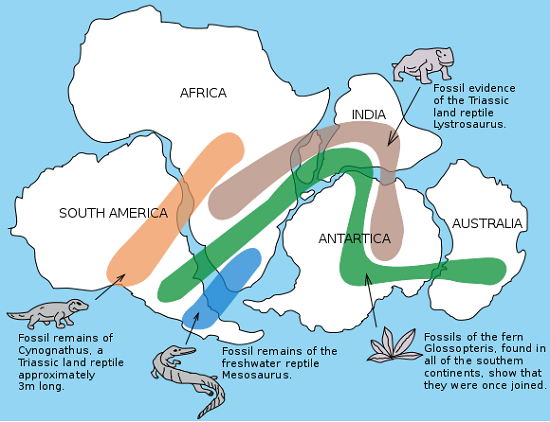 Snider-Pellegrini Wegener fossil map