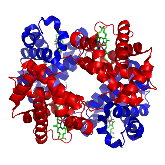 Haemoglobin