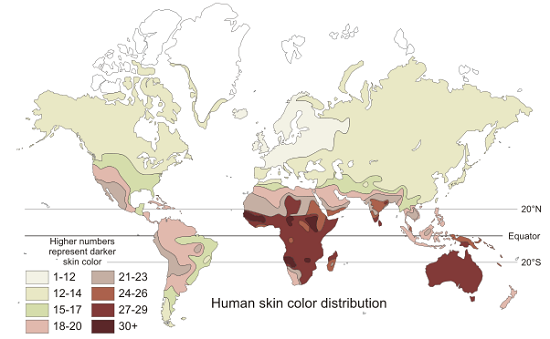 Skin color map