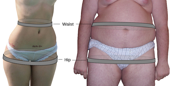 Waist-to-Hip Ratio