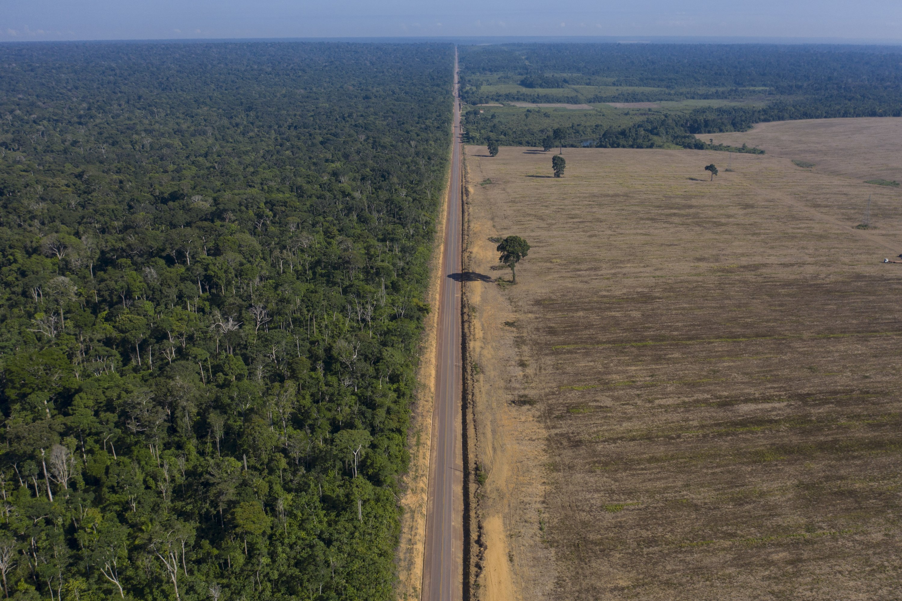 Deforestation Of Brazil S Amazon Rainforest Hits Record In April Daily Sabah