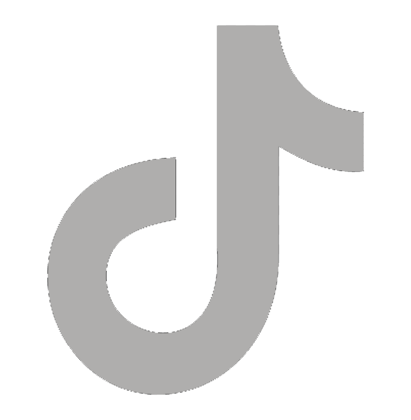 tiktok icon