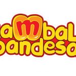 How to Begin a Kambal Pandesal Franchise Business