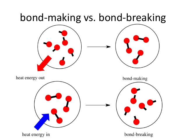 Exothermic And Endothermic Reactions Bond Energy Heat - vrogue.co