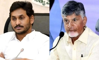 Vijayawada Floods: Chandrababu Accuses Jagan of Sabotage, Demands Flood Relief