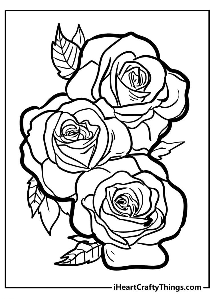 Free Printable Coloring Pages Of Roses