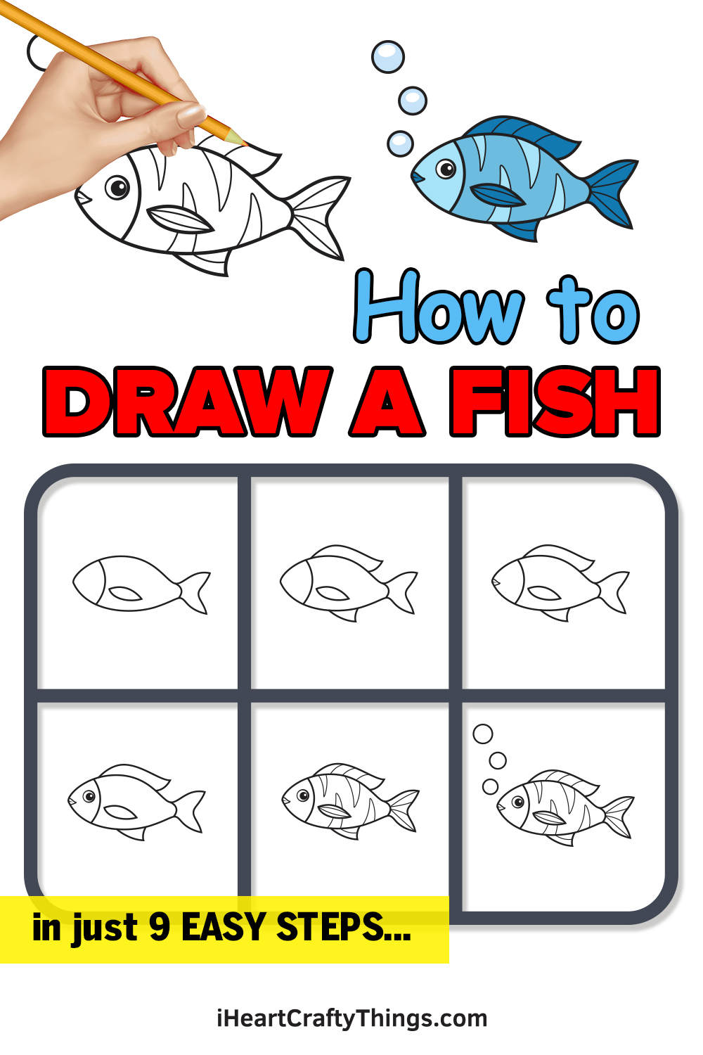 how to draw a fish in 9 easy steps