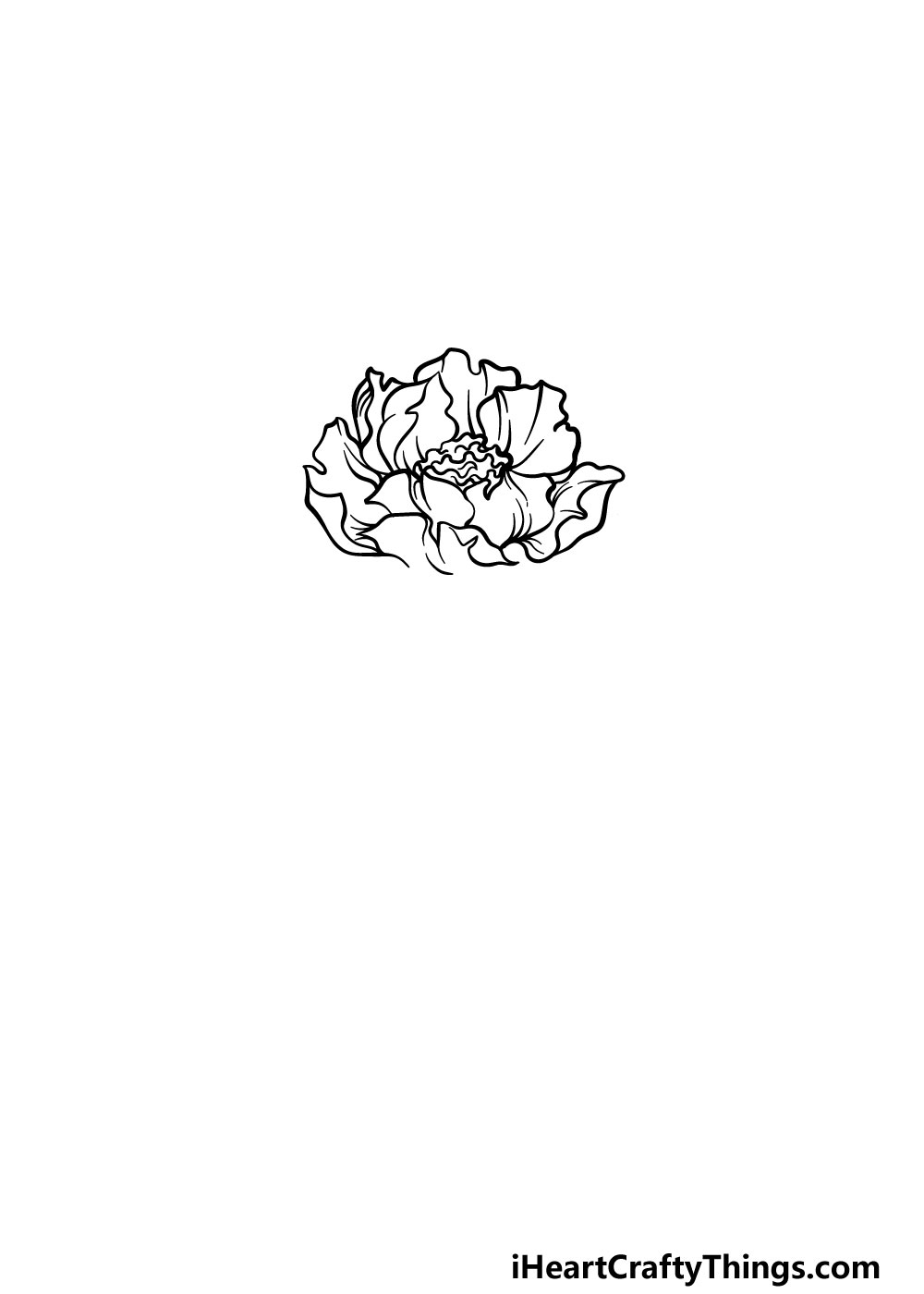 drawing peony step 2