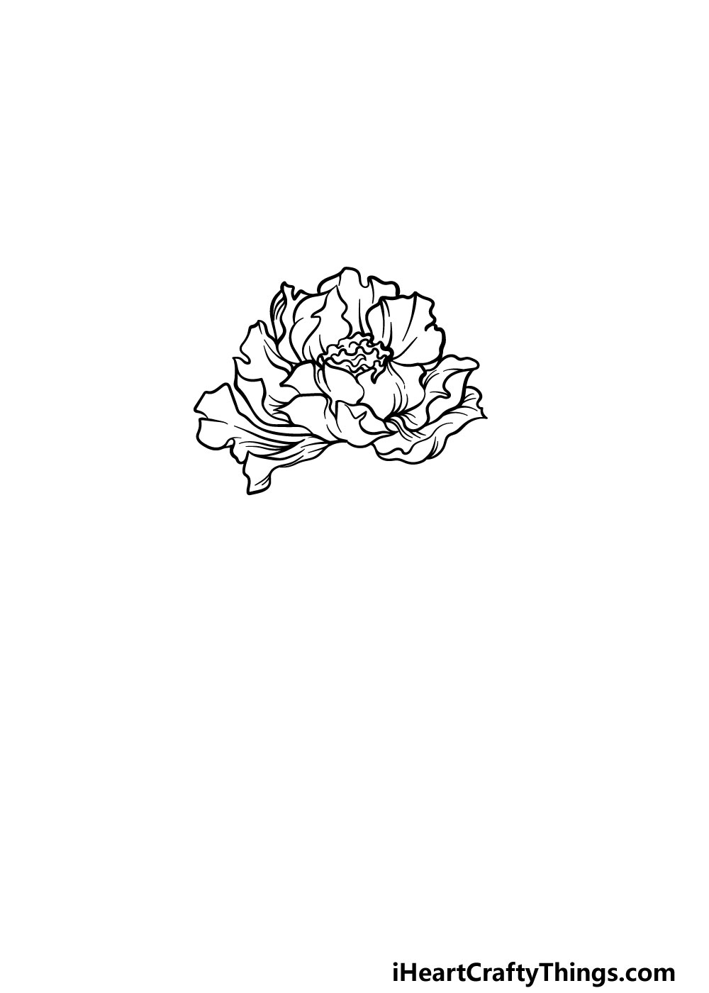 drawing peony step 3